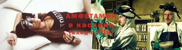 индика Алексин