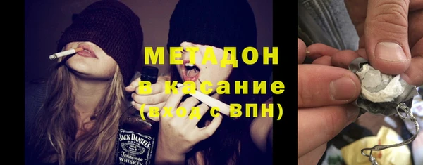 индика Алексин