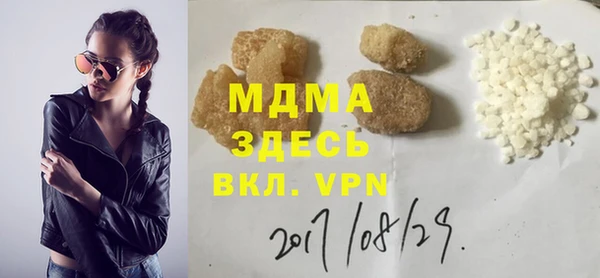 дживик Ельня