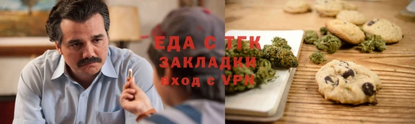индика Алексин