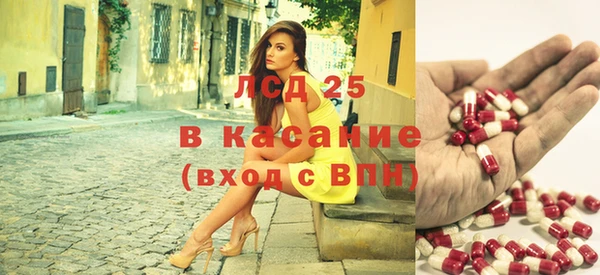 индика Алексин