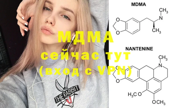 индика Алексин