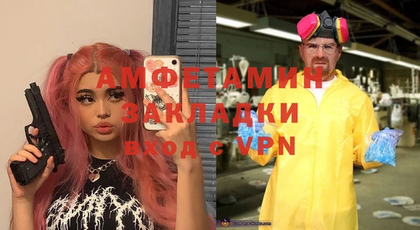 индика Алексин