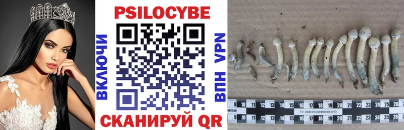 Галлюциногенные грибы Cubensis  Закаменск 